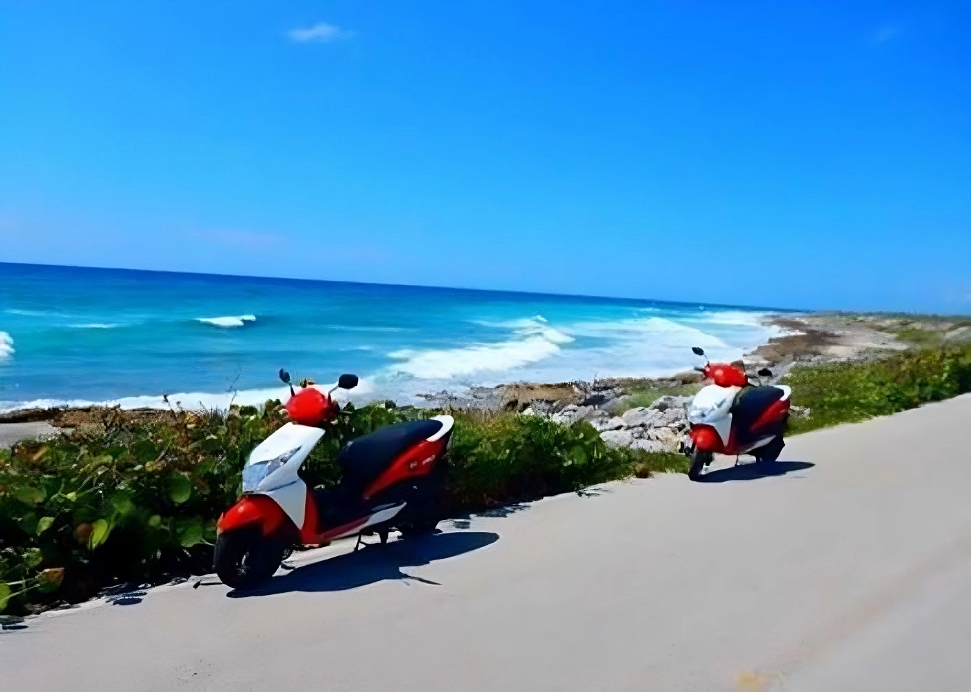 Renta un Scooter o Jeep